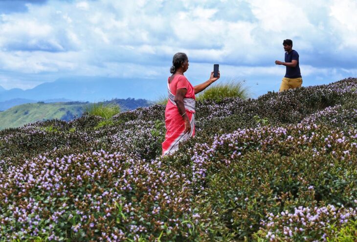 Mesmerised by the beauty of J-K in autumn, tourists defined it as ‘Truly heaven’